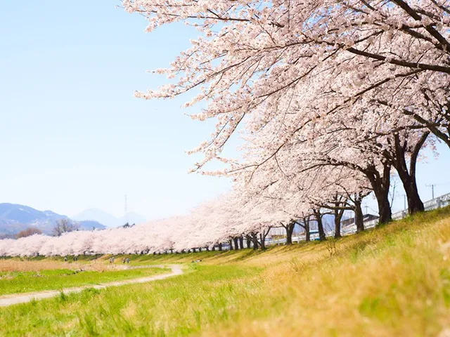 本庄市児玉町あべ整骨院